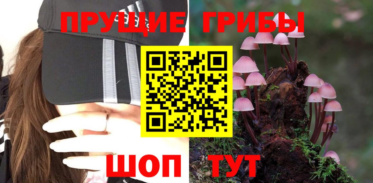 Таганрог  Псилоцибиновые грибы прущие грибы  Вход с VPN 