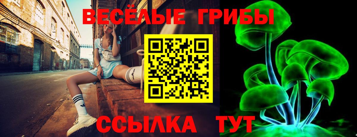 Псилоцибиновые грибы Cubensis Таганрог